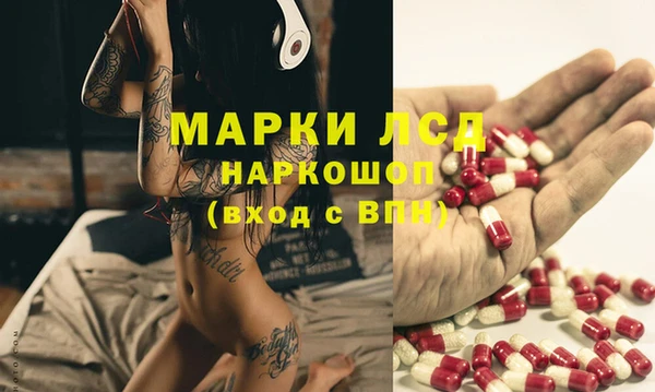 ГАЛЛЮЦИНОГЕННЫЕ ГРИБЫ Балахна