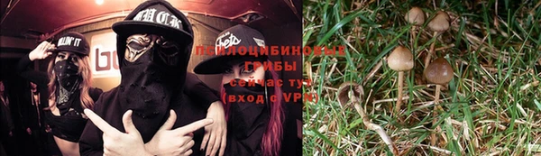 альфа пвп Армянск